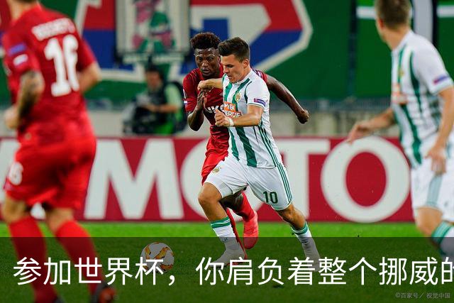 参加世界杯，你肩负着整个挪威的期望！哈兰德：我喜欢这样